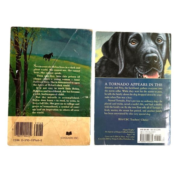 Kids Paperback Chapter Book Lot of 9 - Picture 8 of 10